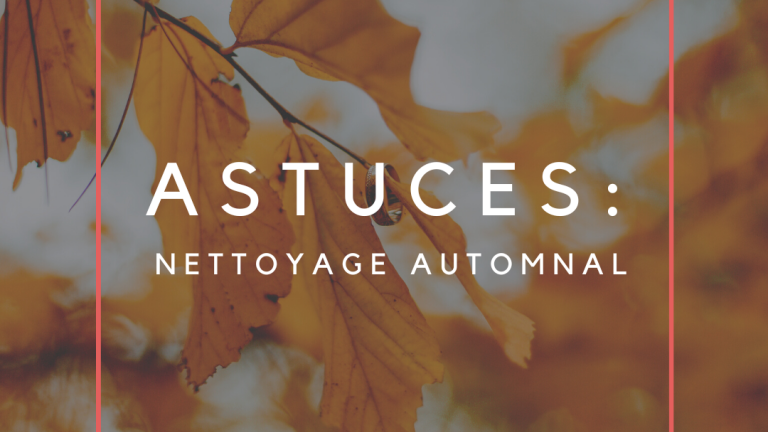 Astuces Nettoyage automnal